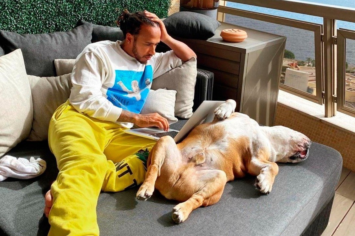  - Először nyilatkozott Hamilton imádott kutyája elvesztése után