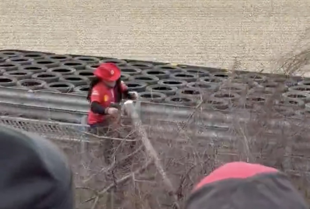 Megbüntettek egy rajongót, aki kivágott egy fát, hogy lássa Hamilton körözgetni