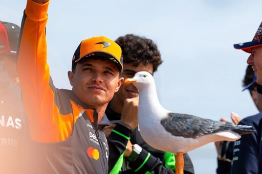 McLaren - Korábban sosem tapasztalt gond okozhatta Norris kiesését Hollandiában!