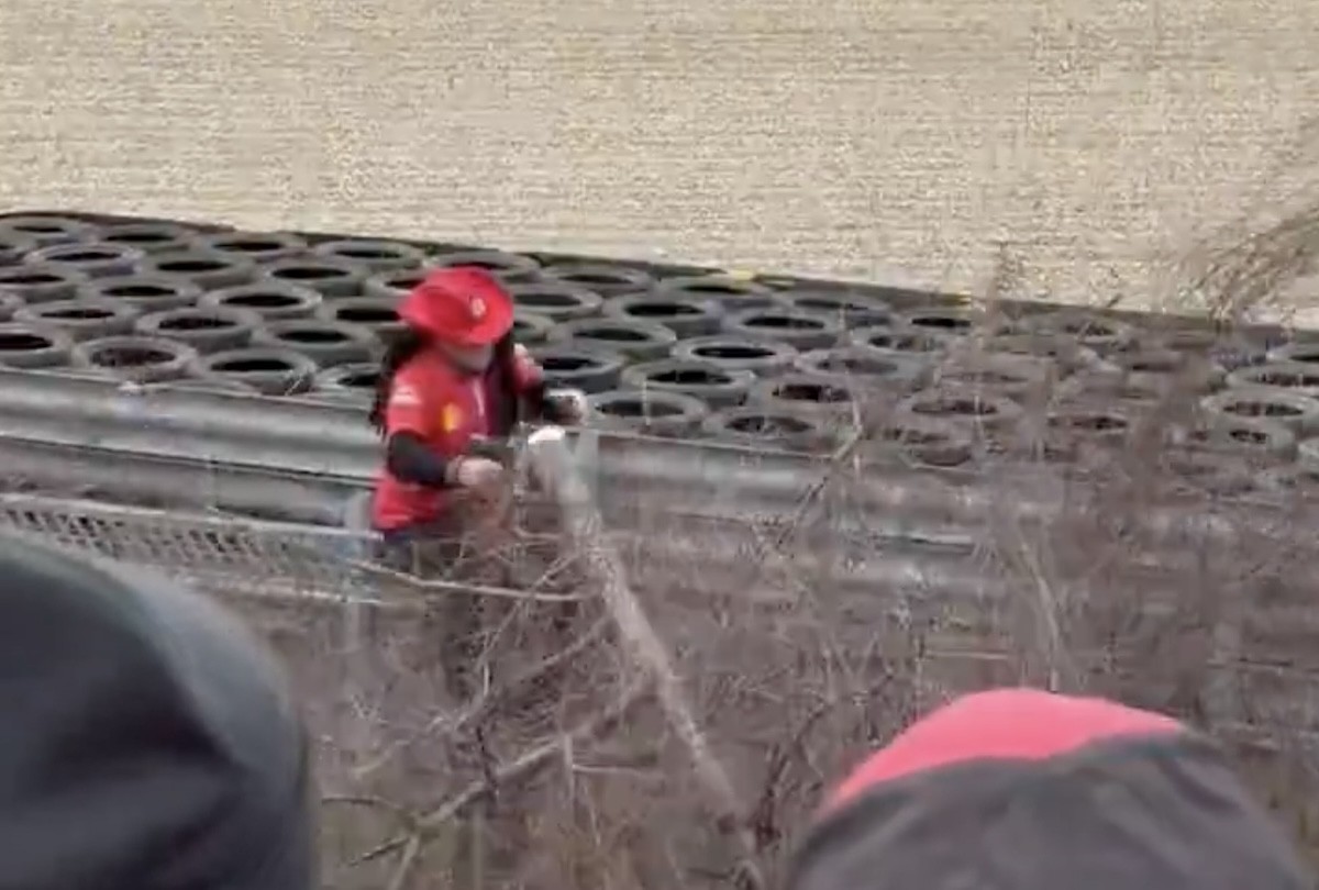 Megbüntettek egy rajongót, aki kivágott egy fát, hogy lássa Hamilton körözgetni